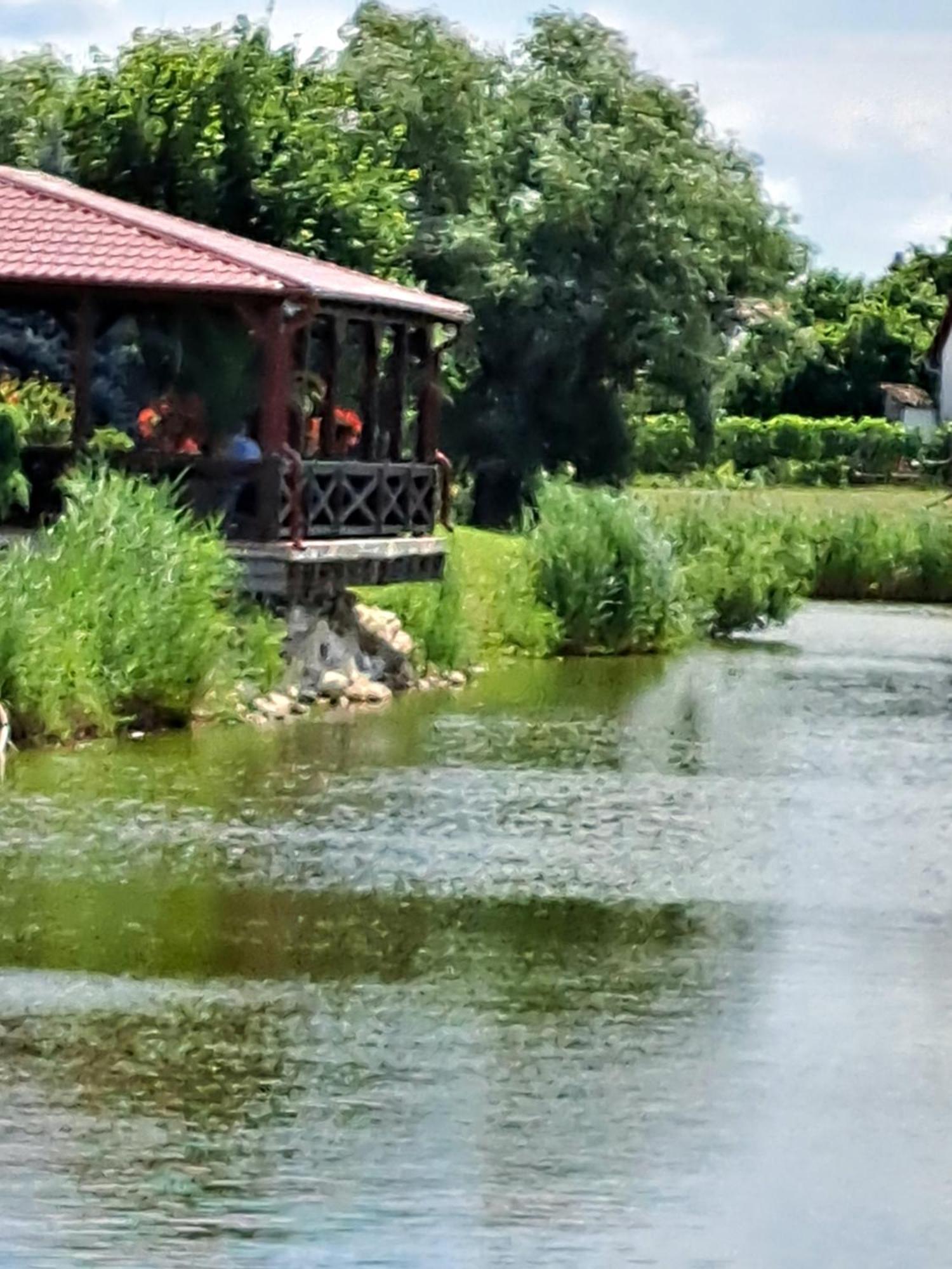 Grapeline Guesthouse Chotin Bagian luar foto